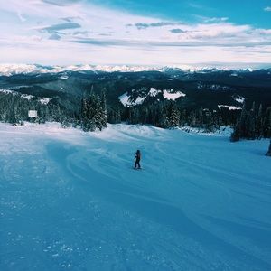 Meet your Posher, Maddy